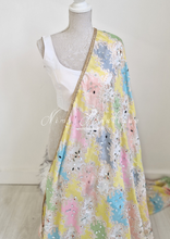 Sitara Luxury Ivory & Pastel Multicolour Mirror Dupatta/Chunni