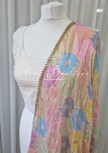 Luxury Pastel Multicolour Dupatta/Chunni