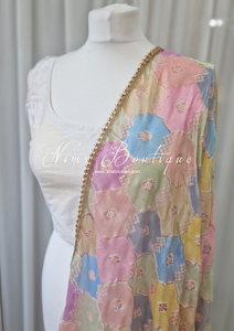 Luxury Pastel Multicolour Dupatta/Chunni