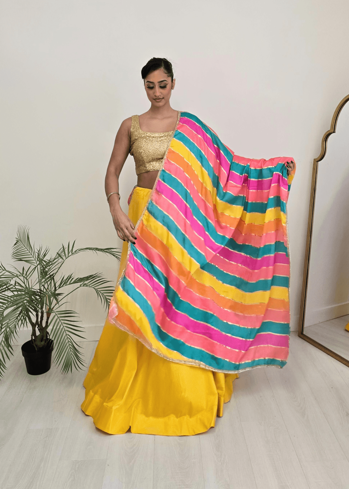 Nims Boutique Multicolour Stripe Georgette Dupatta/Chunni 3