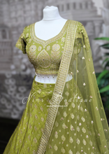 Mehndi Green Embellished Lehnga (Size 10-12)