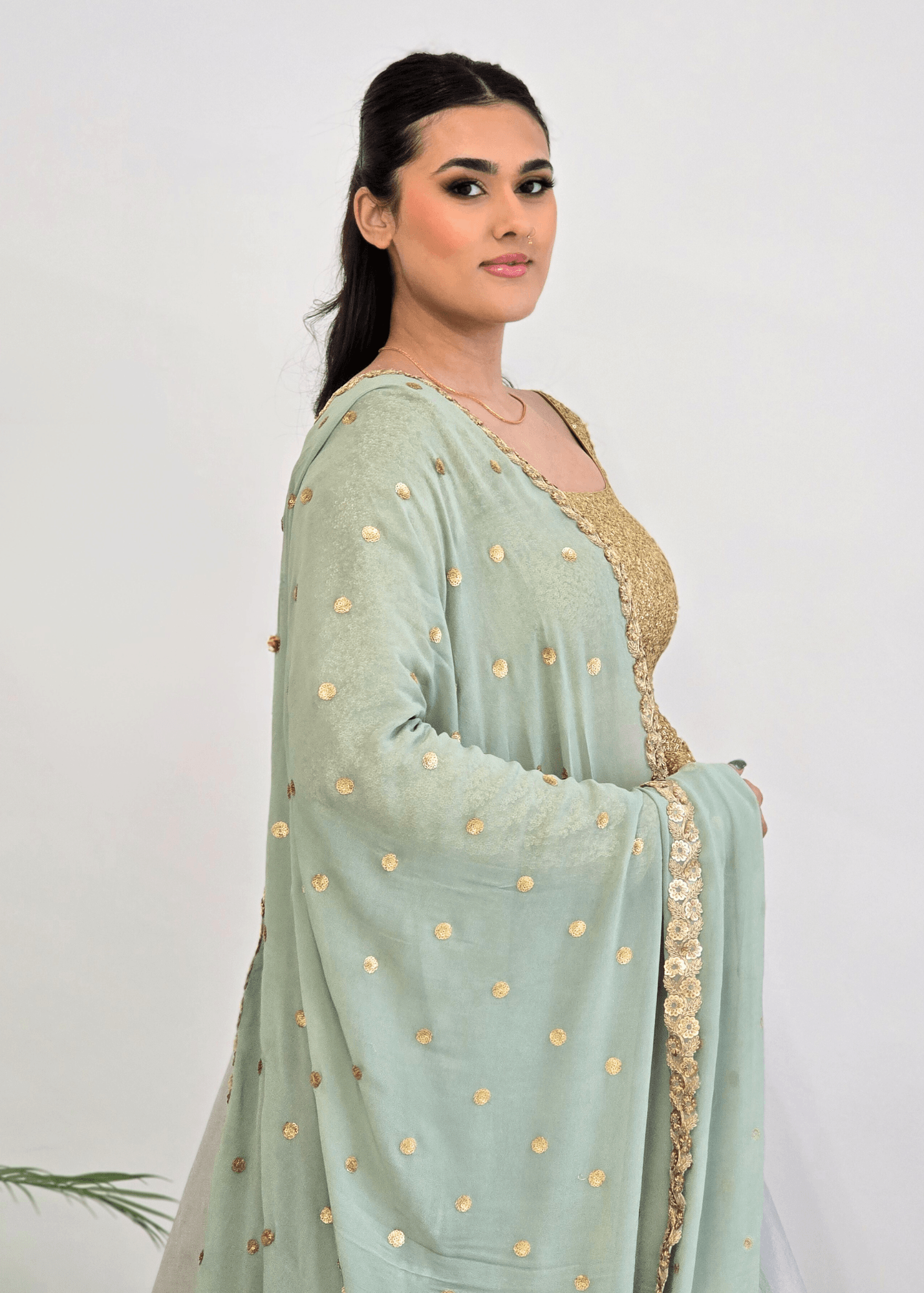 Nims Boutique Ria Luxury Sage Green Georgette Dupatta/Chunni