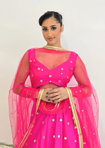 Bright Pink Net Sequin Dupatta/Chunni