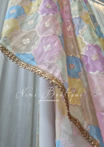 Luxury Pastel Multicolour Dupatta/Chunni