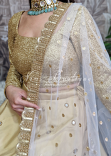 Mira Luxury White Net Embroidered Dupatta/Chunni