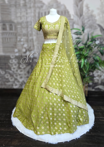 Mehndi Green Embellished Lehnga (Size 10-12)