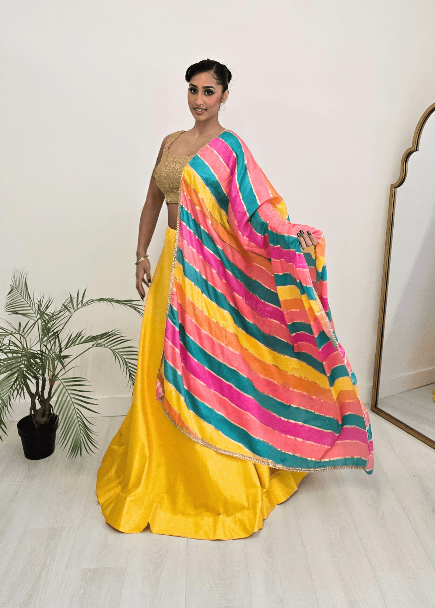 Nims Boutique Multicolour Stripe Georgette Dupatta/Chunni 3