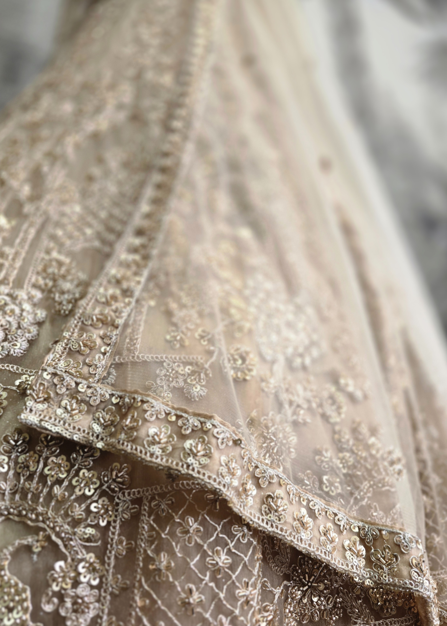 Luxury Champagne Gold Lehenga (size 12)