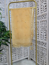 Gold Net Sequin Dupatta/Chunni (mirror edging)