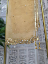 Gold Net Sequin Dupatta/Chunni (mirror edging)