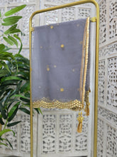 Grey Net Sequin Dupatta/Chunni (mirror edging)