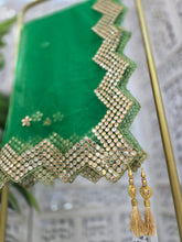 Vibrant Green Net Sequin Dupatta/Chunni (Zig Zag mirror edging)