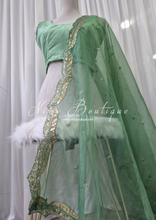 Mint Sequin Organza Dupatta/Chunni