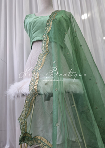 Mint Sequin Organza Dupatta/Chunni