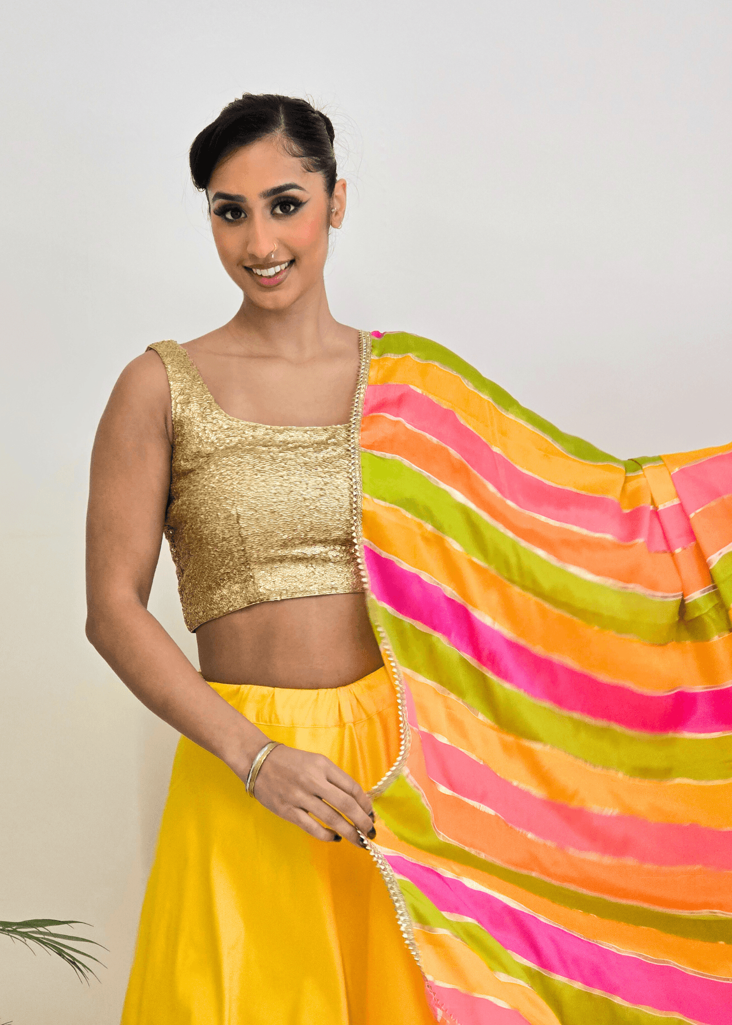 Nims Boutique Multicolour Stripe Georgette Dupatta/Chunni 2