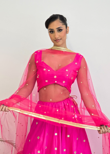 Bright Pink Net Sequin Dupatta/Chunni