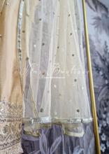 Gold Thread Embroidered Sharara Suit (18-20)