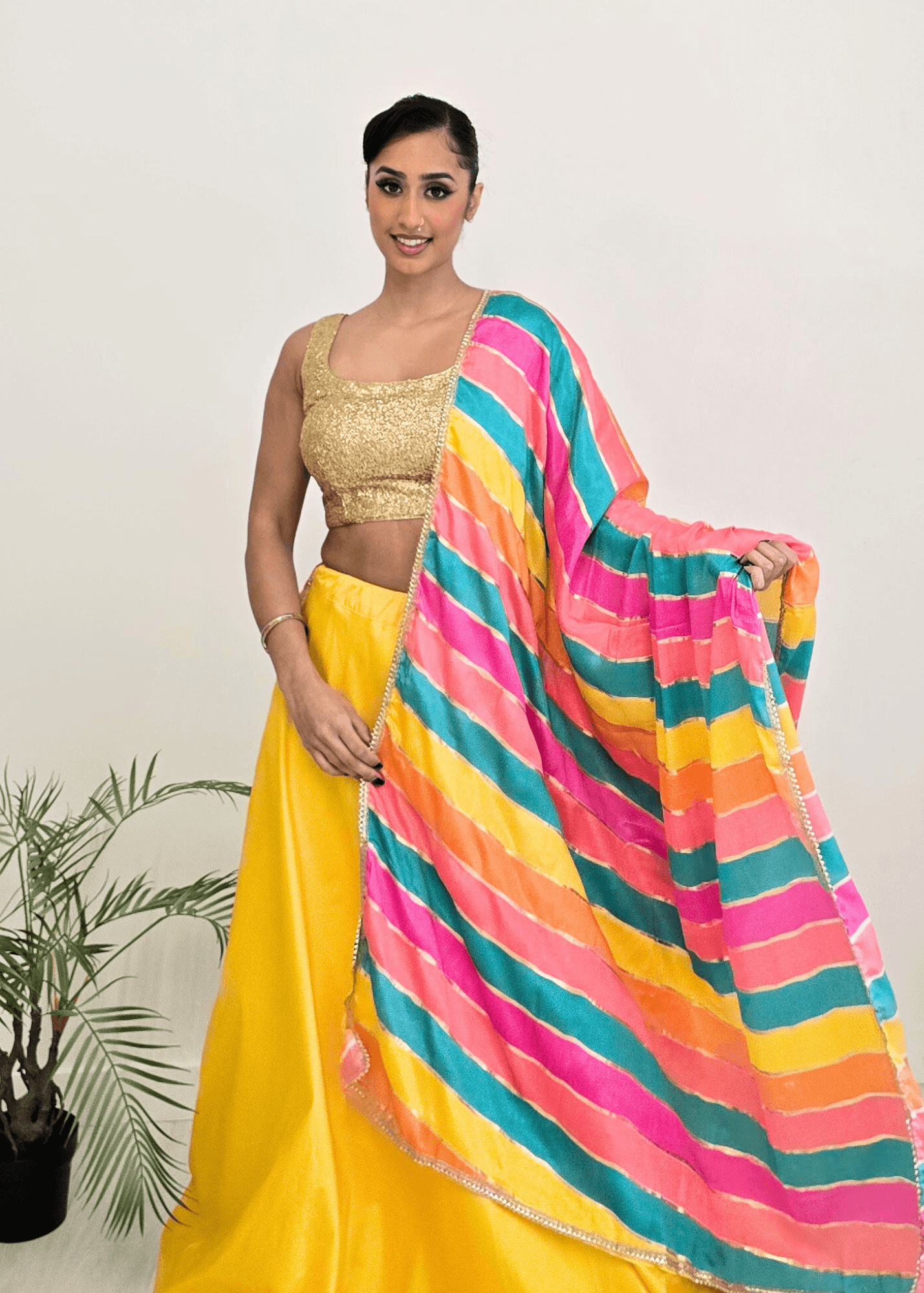 Nims Boutique Multicolour Stripe Georgette Dupatta/Chunni 3