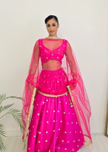 Bright Pink Net Sequin Dupatta/Chunni