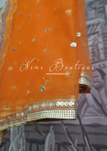 Orange Net Sequin Dupatta/Chunni