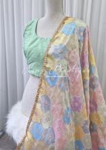 Luxury Pastel Multicolour Dupatta/Chunni