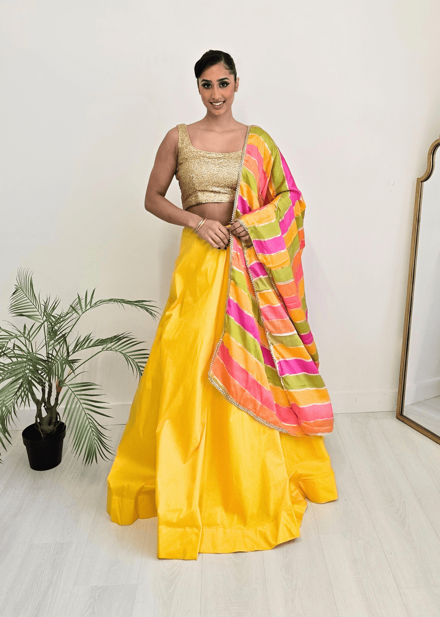 Nims Boutique Multicolour Stripe Georgette Dupatta/Chunni 2