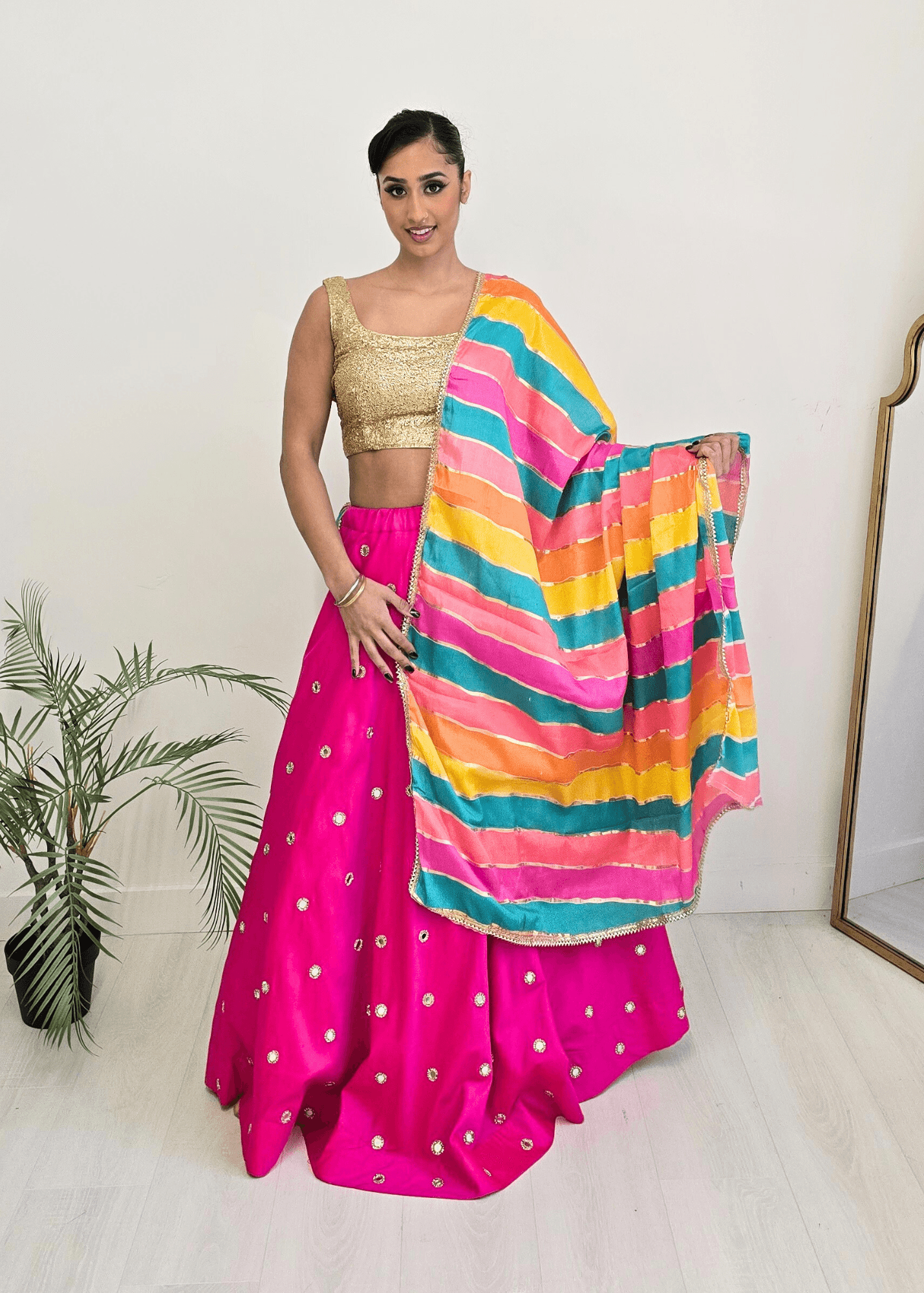 Nims Boutique Multicolour Stripe Georgette Dupatta/Chunni 3