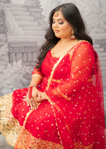 The NB Luxury Red Silk Anarkali Pajami Suit with sleeves (size 12-24)