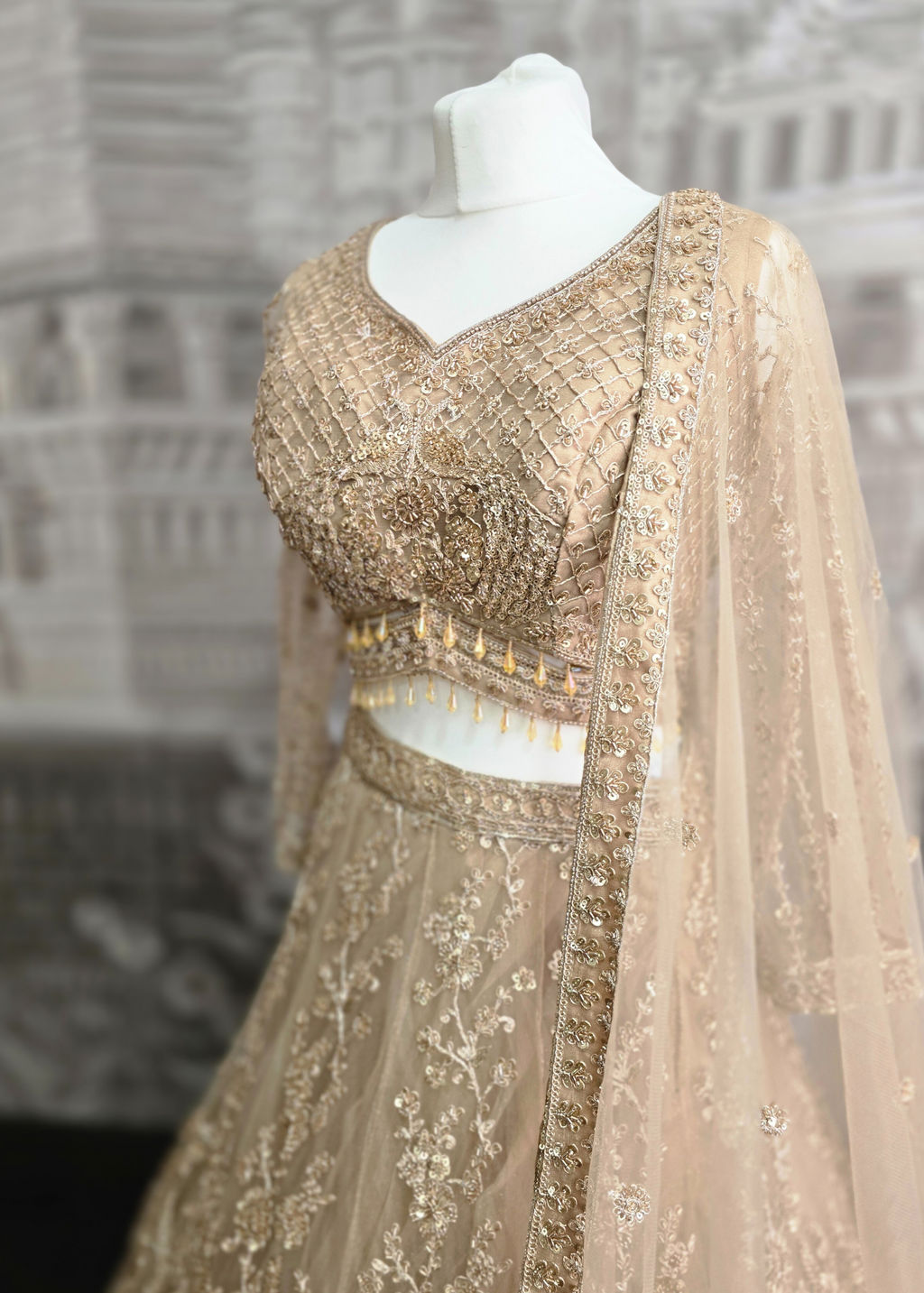 Luxury Champagne Gold Lehenga (size 12)