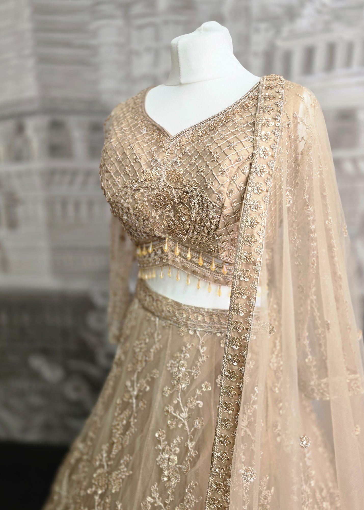 Luxury Champagne Gold Lehenga (size 12)