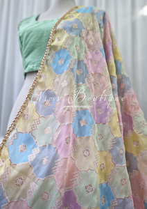 Luxury Pastel Multicolour Dupatta/Chunni