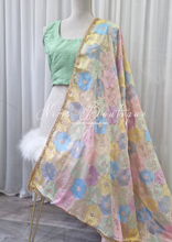 Luxury Pastel Multicolour Dupatta/Chunni