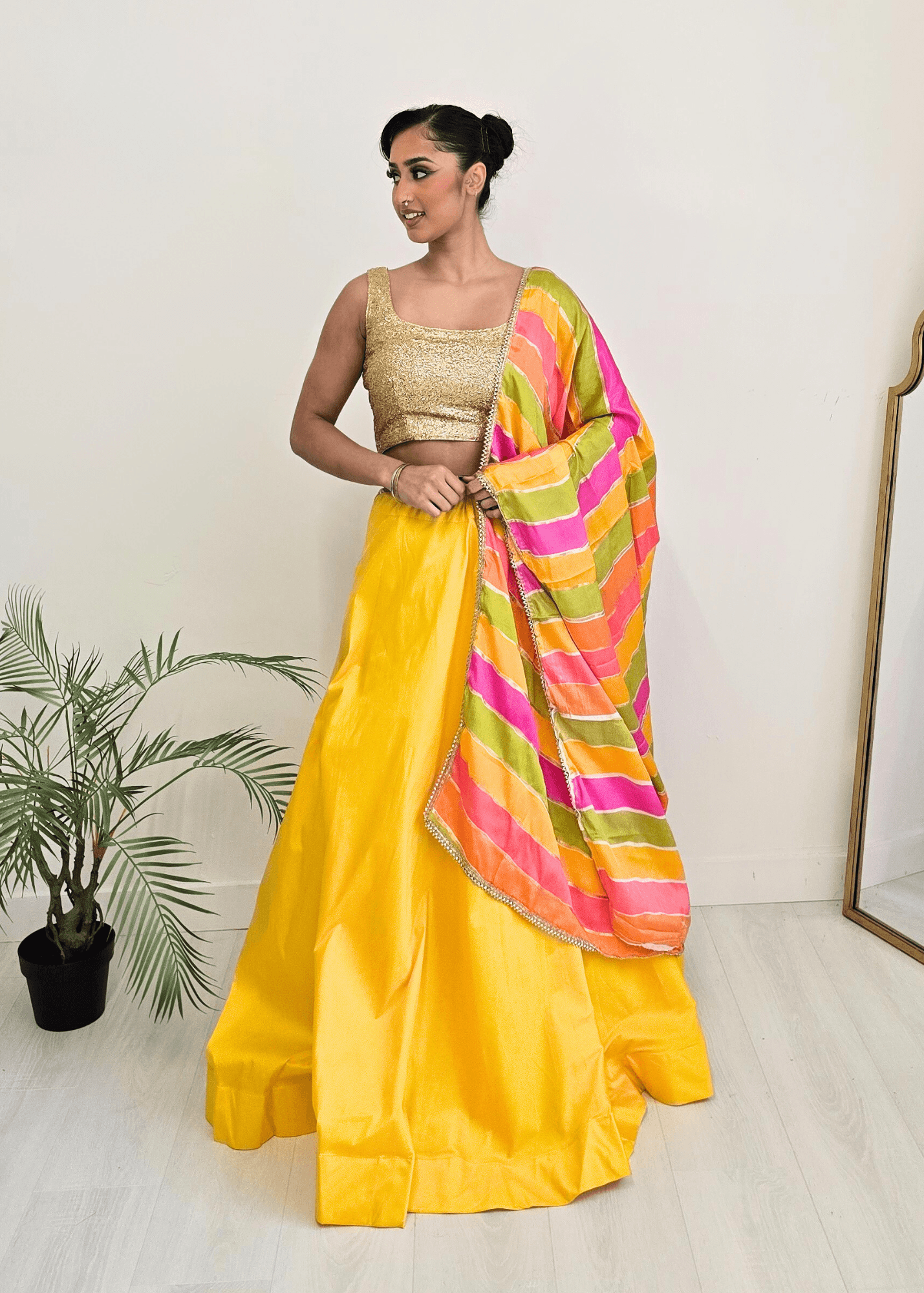 Nims Boutique Multicolour Stripe Georgette Dupatta/Chunni 2