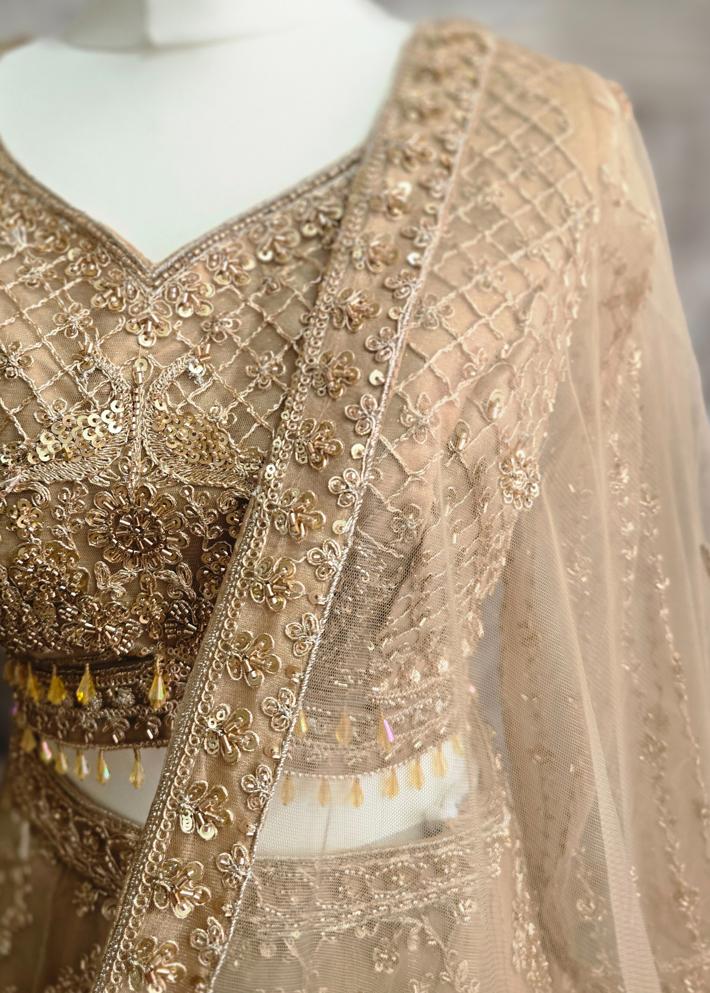 Luxury Champagne Gold Lehenga (size 12)