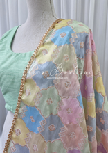 Luxury Pastel Multicolour Dupatta/Chunni