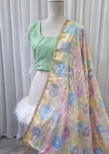 Luxury Pastel Multicolour Dupatta/Chunni