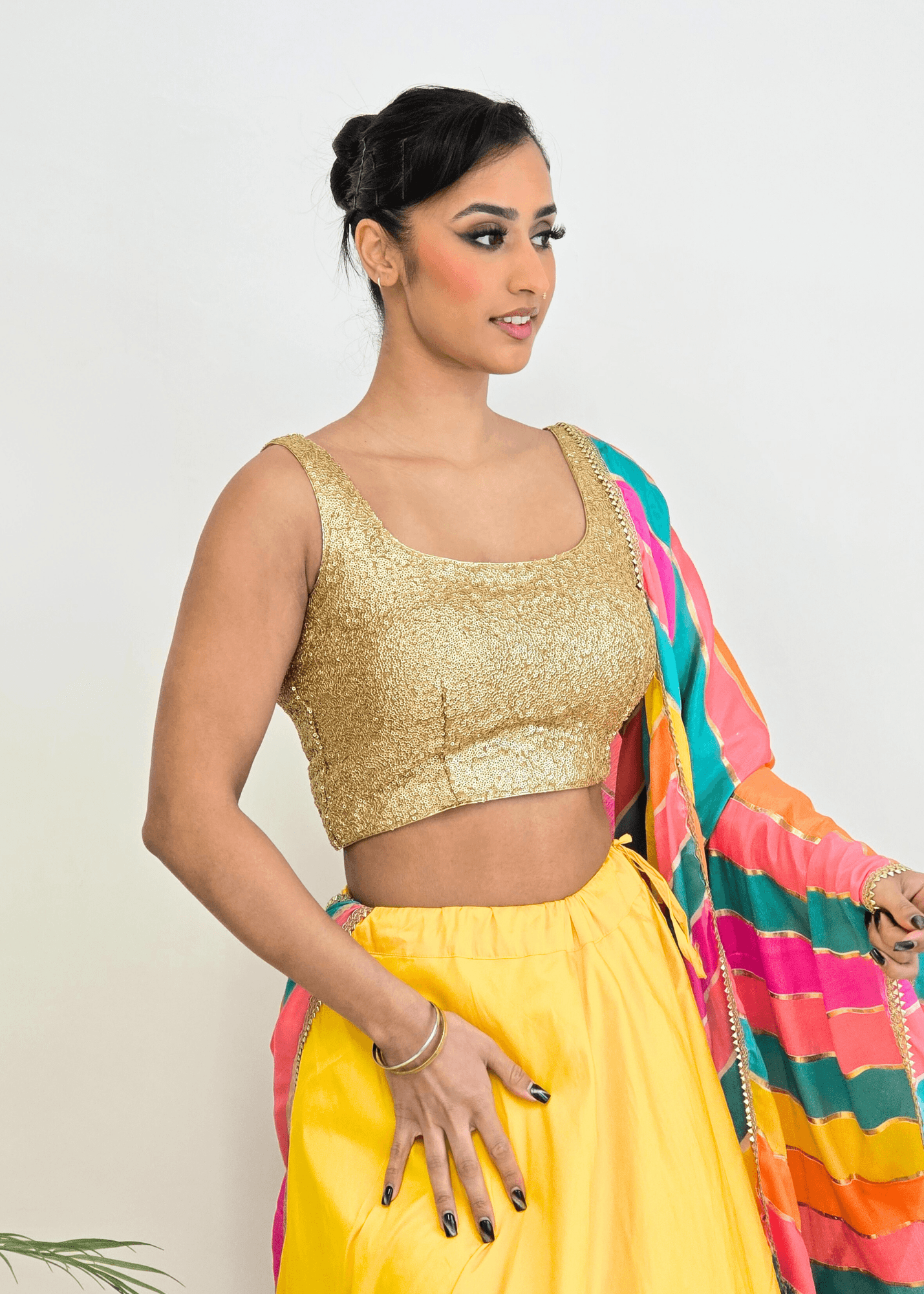 Nims Boutique Multicolour Stripe Georgette Dupatta/Chunni 3
