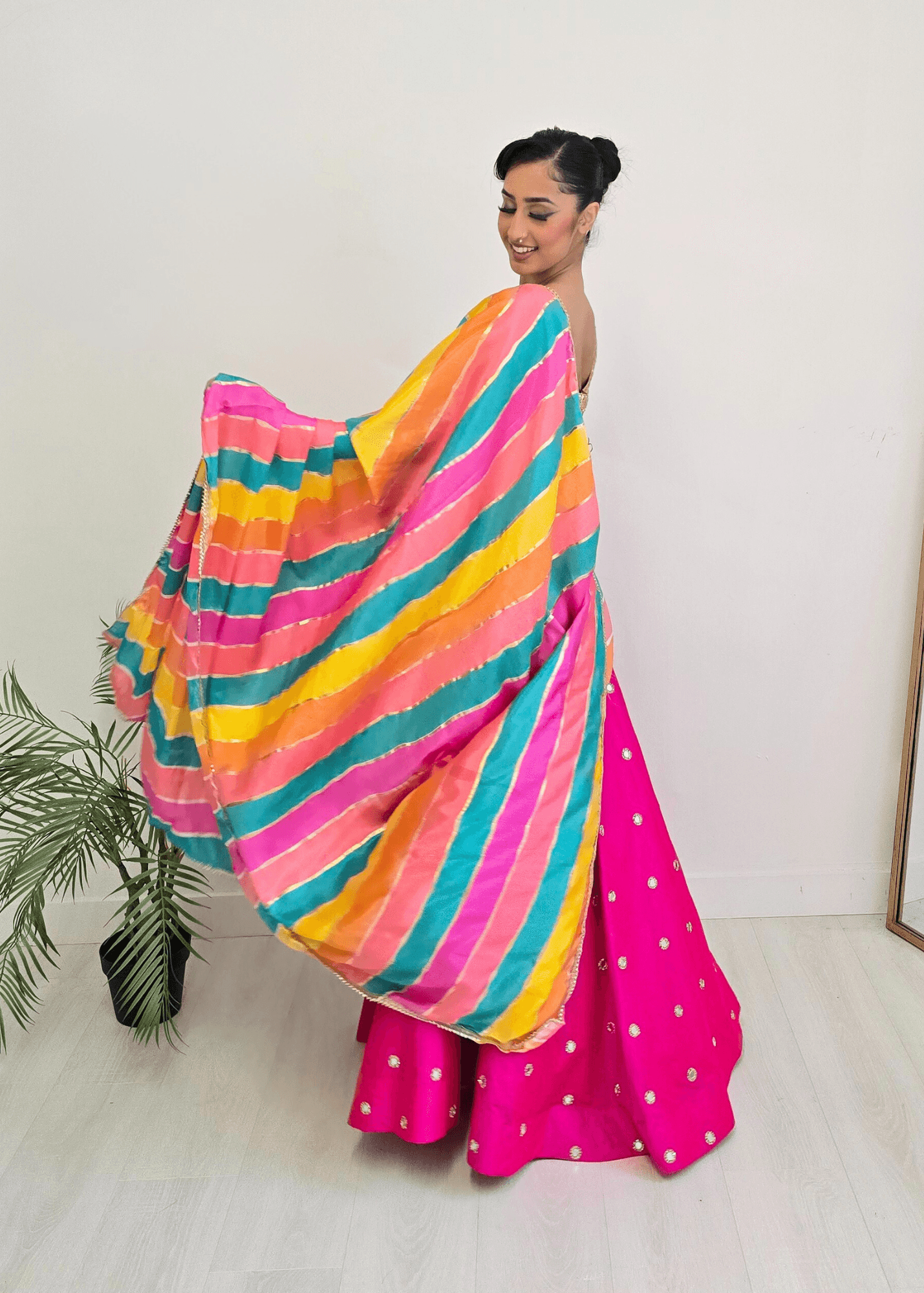 Nims Boutique Multicolour Stripe Georgette Dupatta/Chunni 3