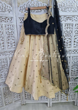 Rani Luxury Gold Mirror readymade skirt/lehnga (sizes 4-24)