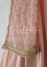 Luxury Peach Net Sequin Dupatta/Chunni (LNS11)