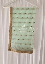 Luxury Mint Green Net Sequin Dupatta/Chunni (LNS9)